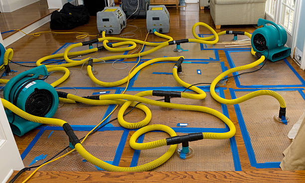 Professional Structural Drying And Dehumidification technician working in Riverside, NJ